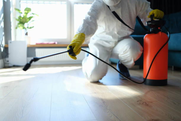 Reliable Odor Removal contractor in Centerton, AR by Trauma Clean Pros